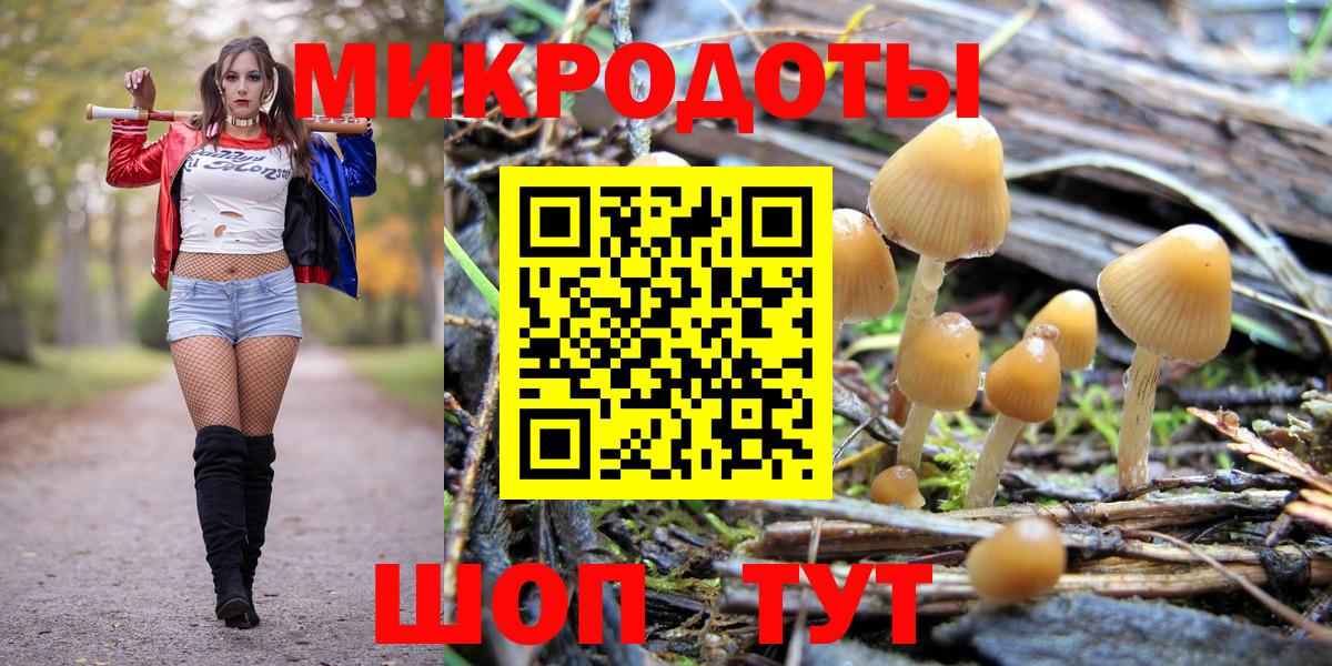 Галлюциногенные грибы ЛСД Буйнакск